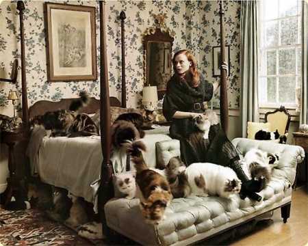 "Terapia e maceve": ja pse duhet të mbani afër një të tillë "Terapia e maceve": ja pse duhet të mbani afër një të tillë