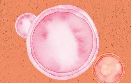 Me siguri ju ka ndodhur të gjithëve, por ja çfarë duhet të dini rreth herpesit Me siguri ju ka ndodhur të gjithëve, por ja çfarë duhet të dini rreth herpesit